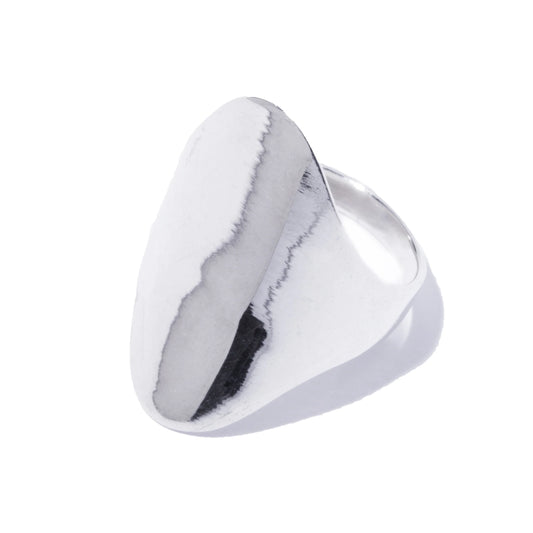 scale ring SS