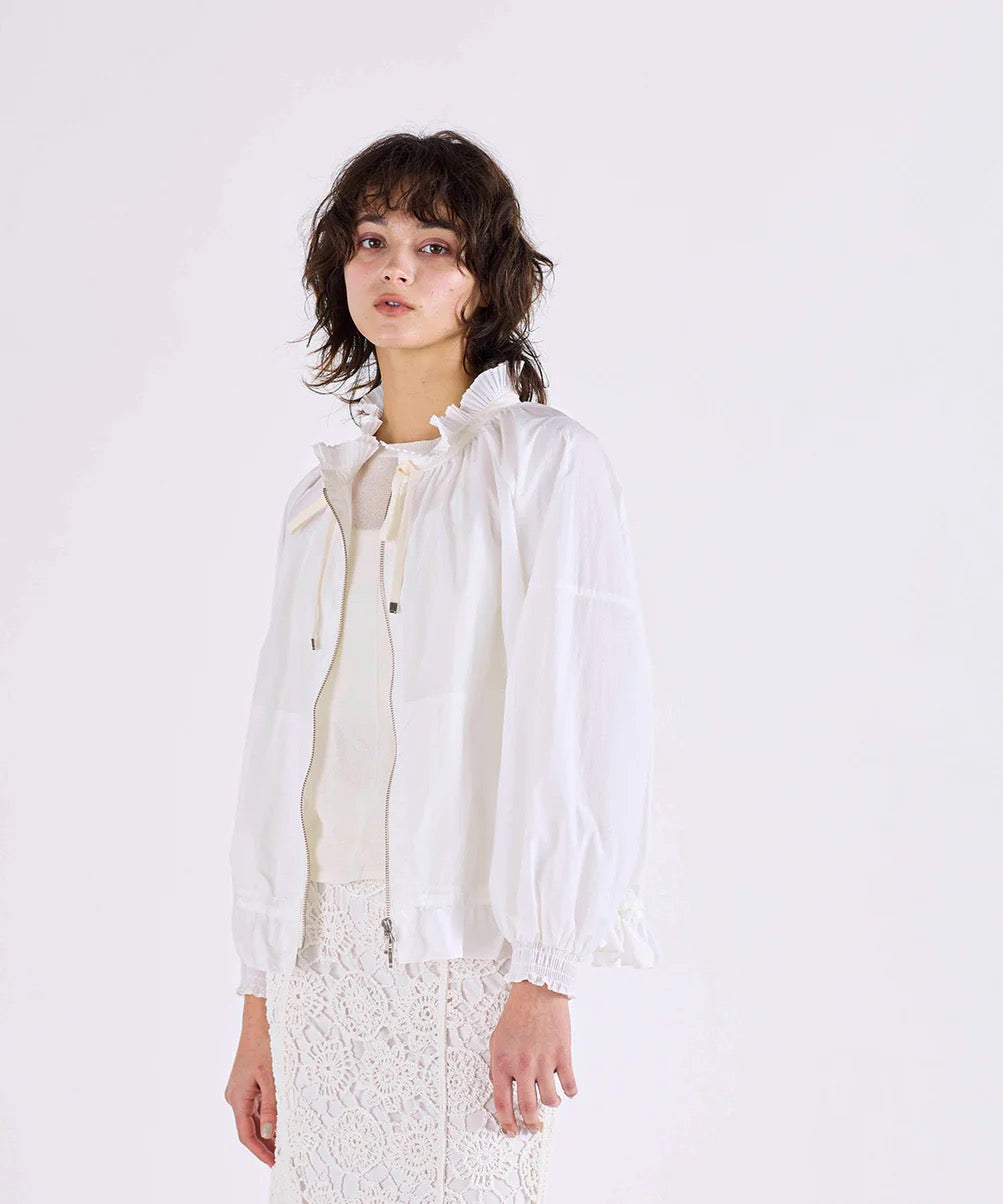 pleats sheer dolman blouson