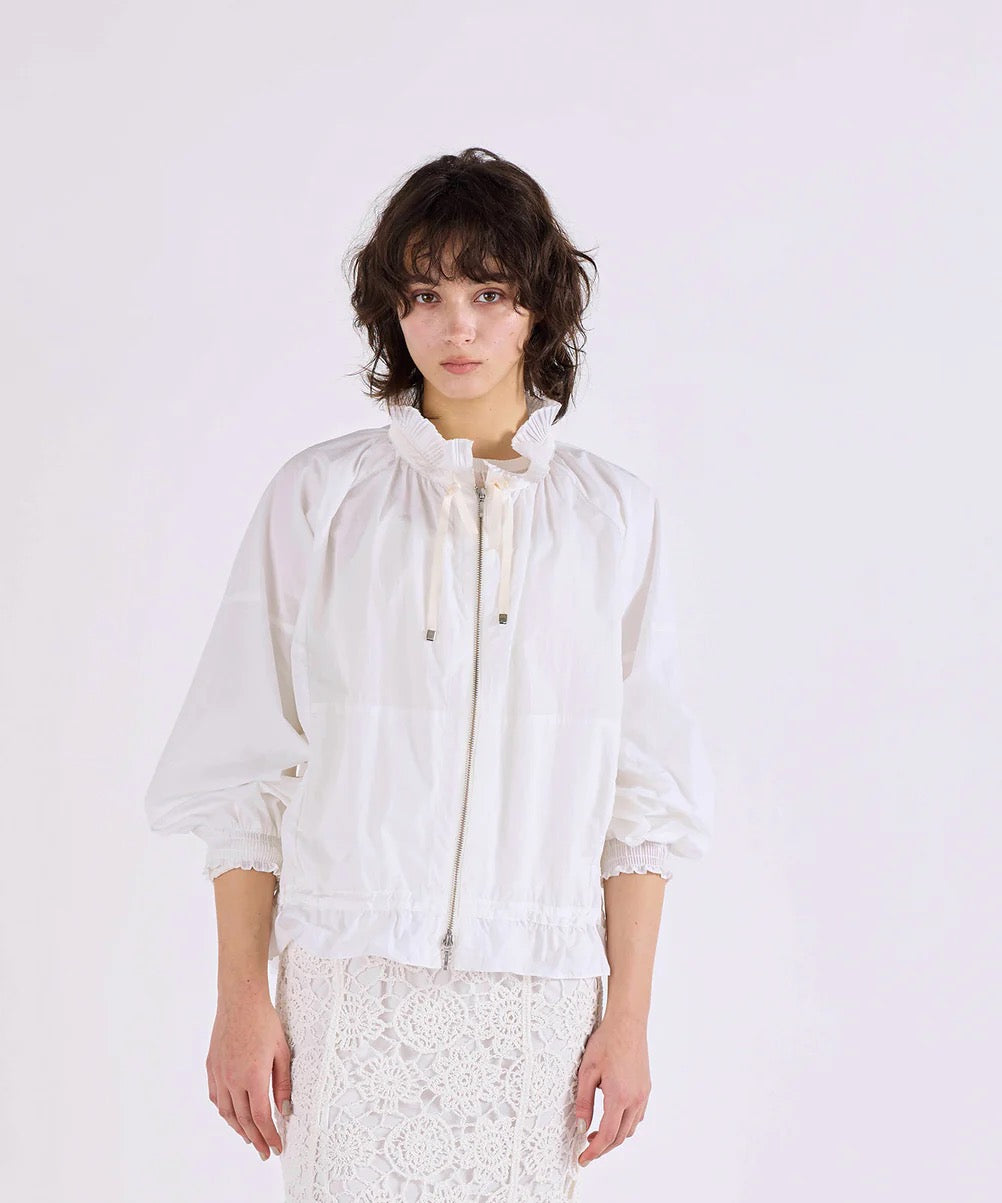 pleats sheer dolman blouson