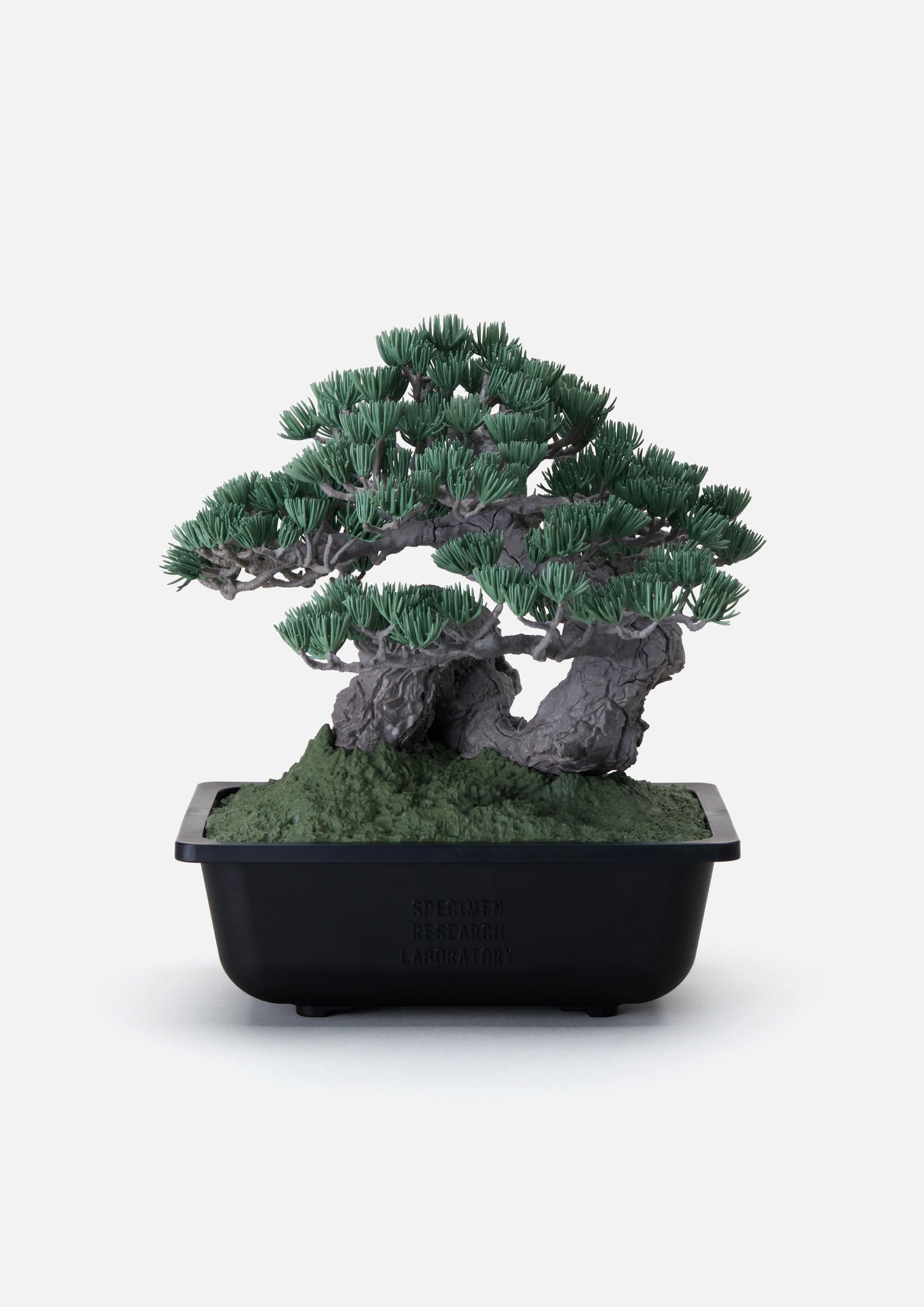 NH × BANDAI SPIRITS. BONSAI MODEL KIT