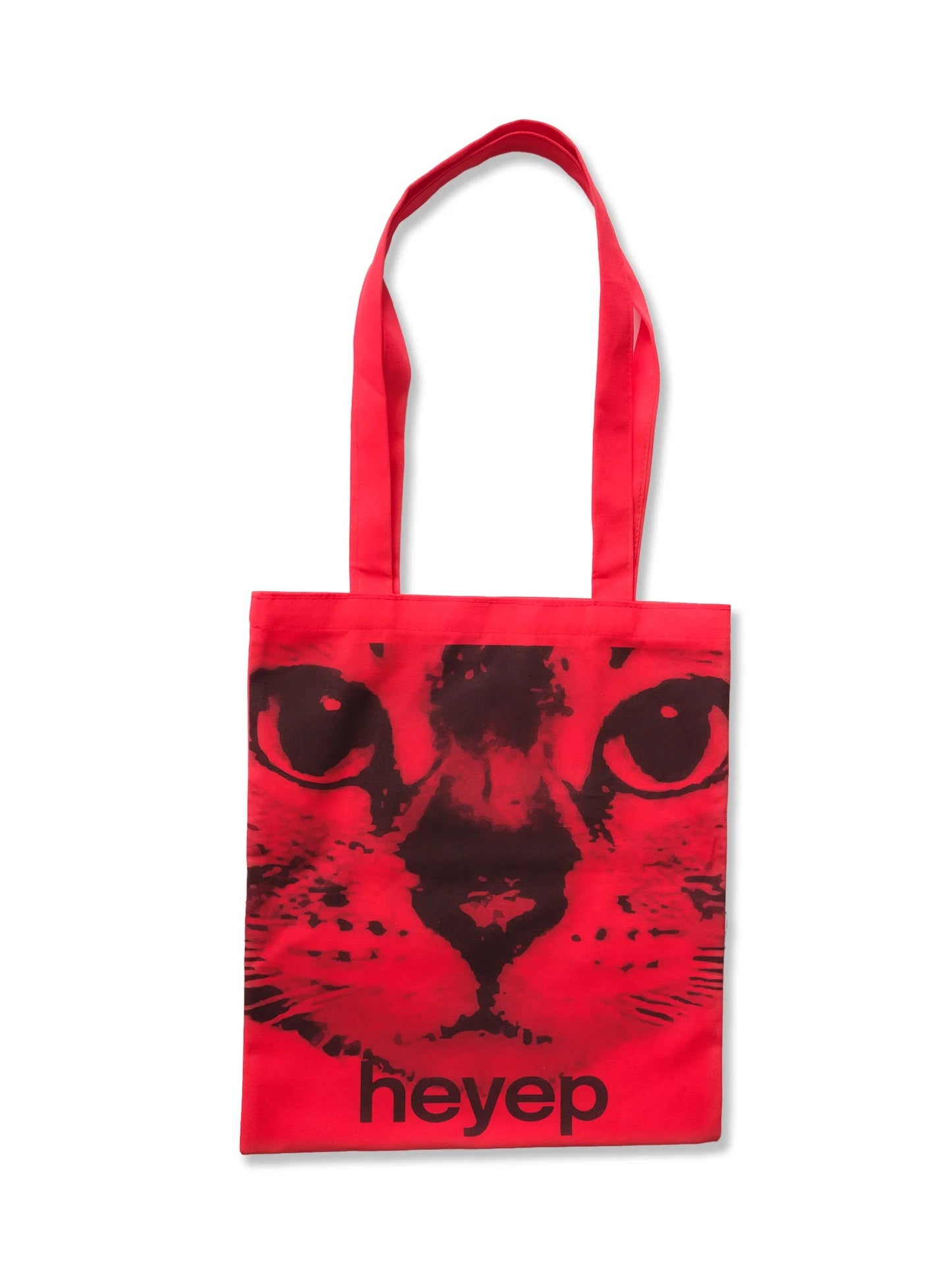 Cats Bag with Pouch Charm