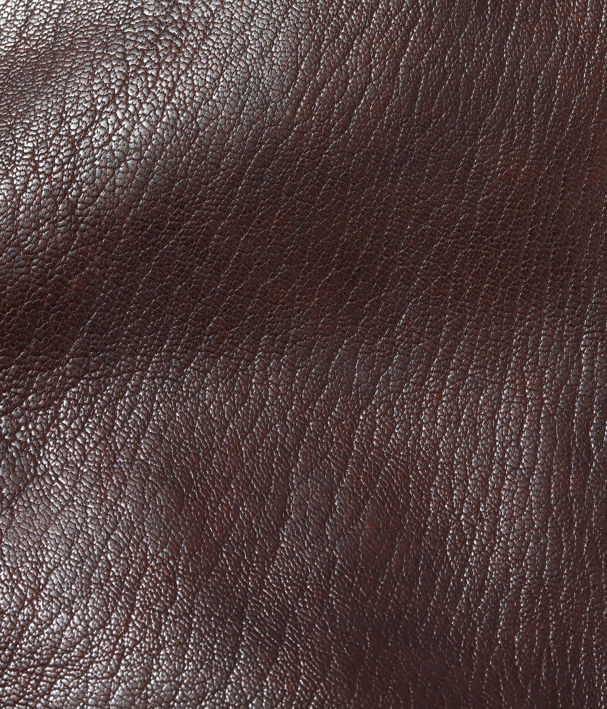 Type AN6552 “AMERICAN SPORTSWEAR CO.” BR80661