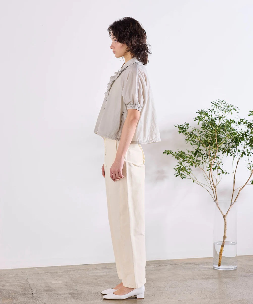 sheer pleats half sleeve blouson