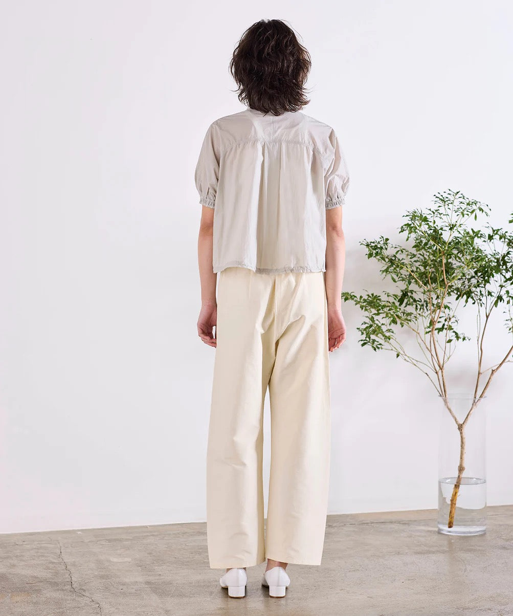 sheer pleats half sleeve blouson