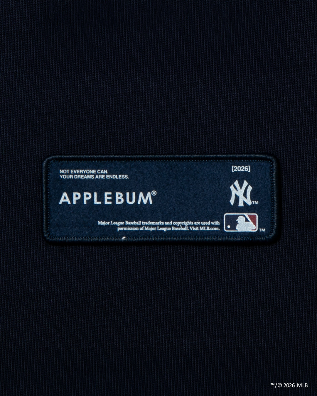 "NY Yankees" Leaf Logo Hoodie