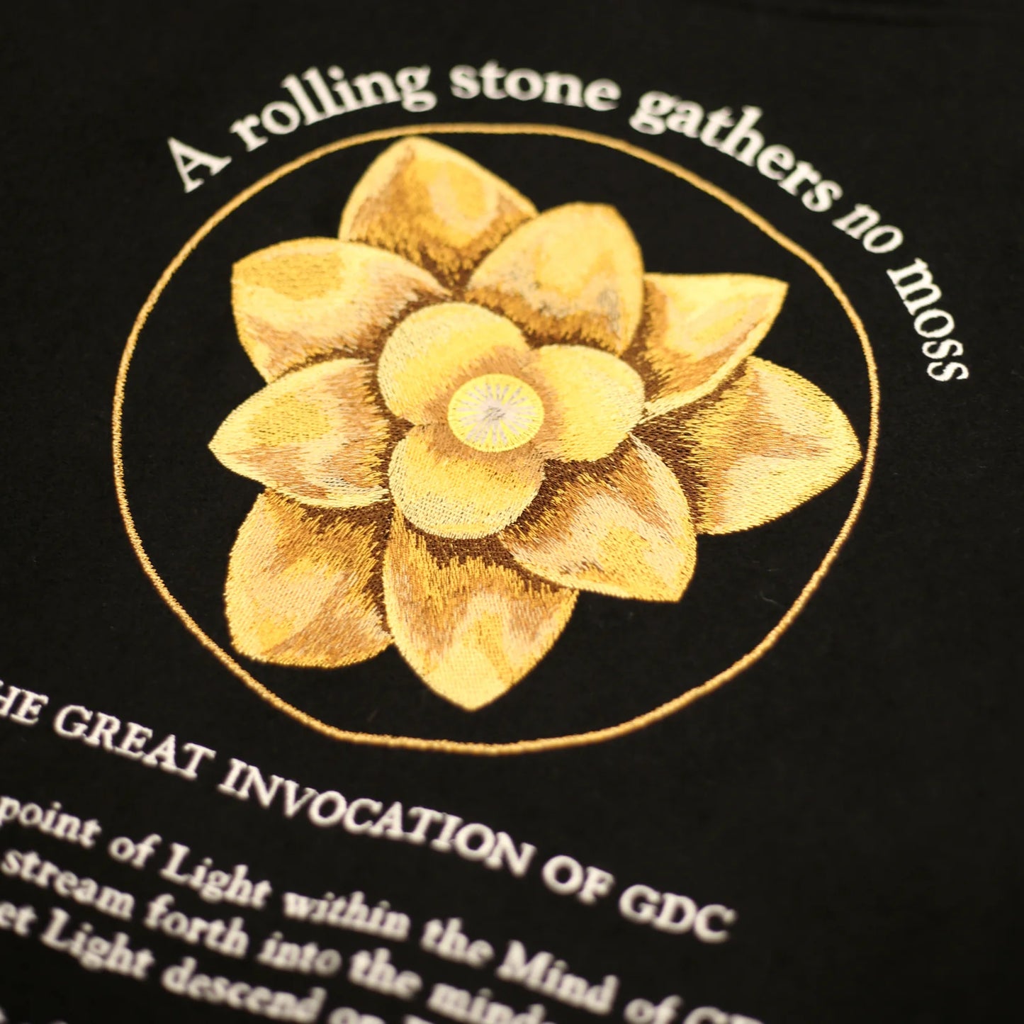 LOTUS stadium jumper