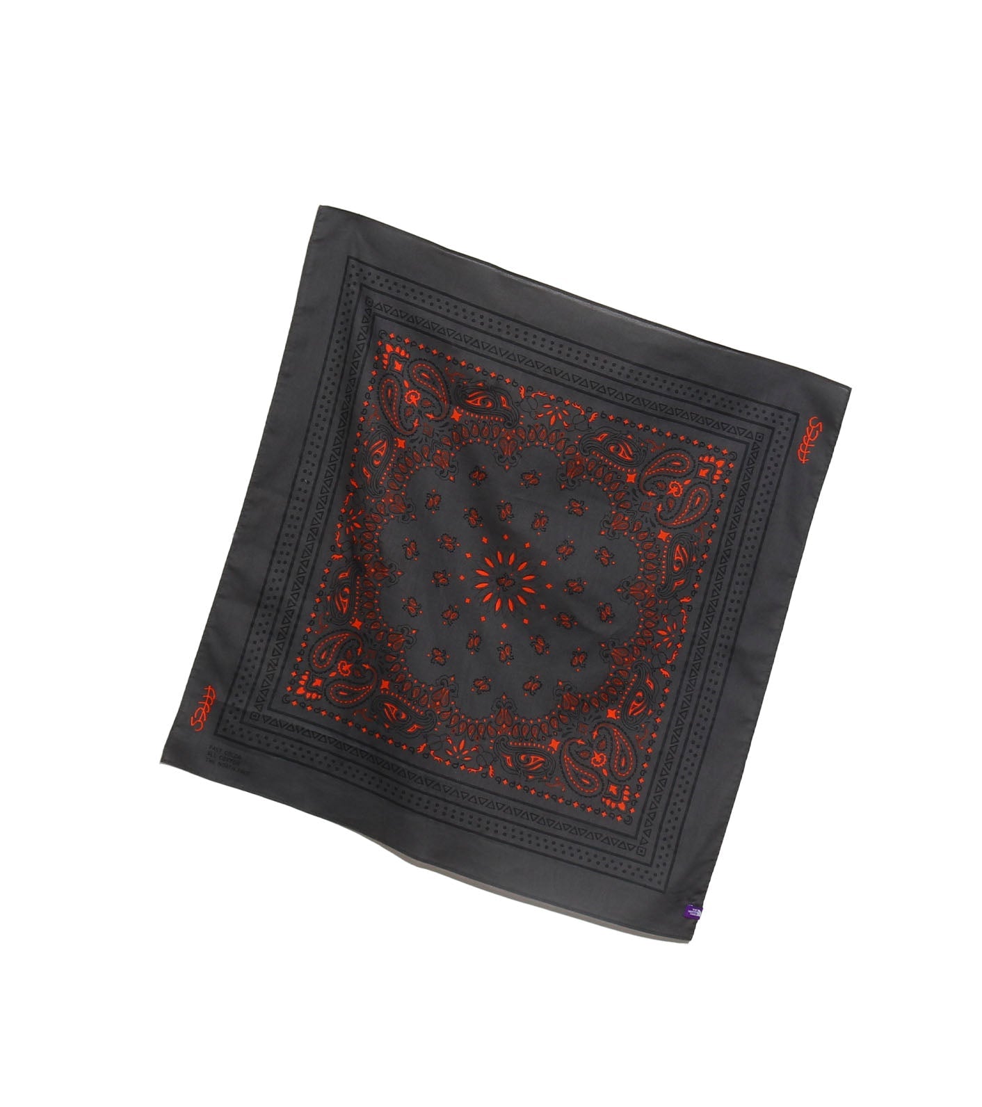 FFFES Graphic Bandana