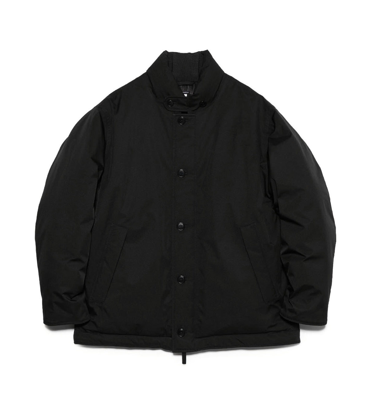2L GORE-TEX Down Jacket
