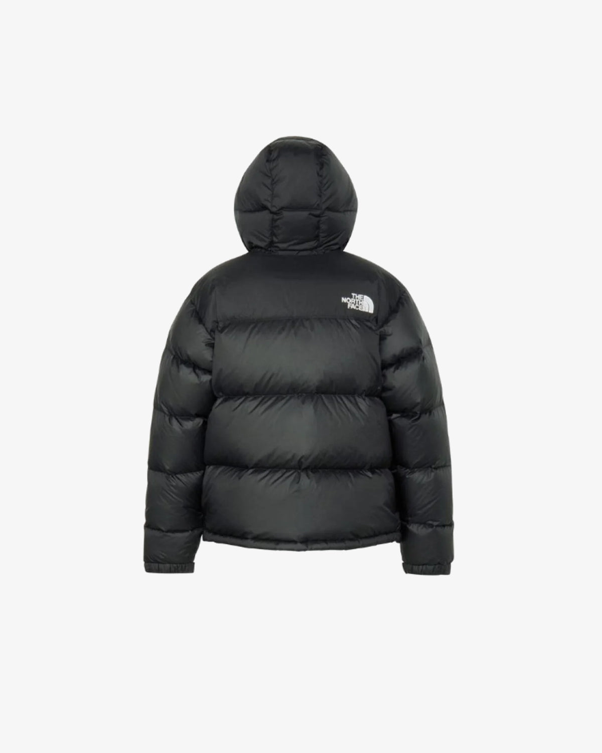 Nuptse Hoodie