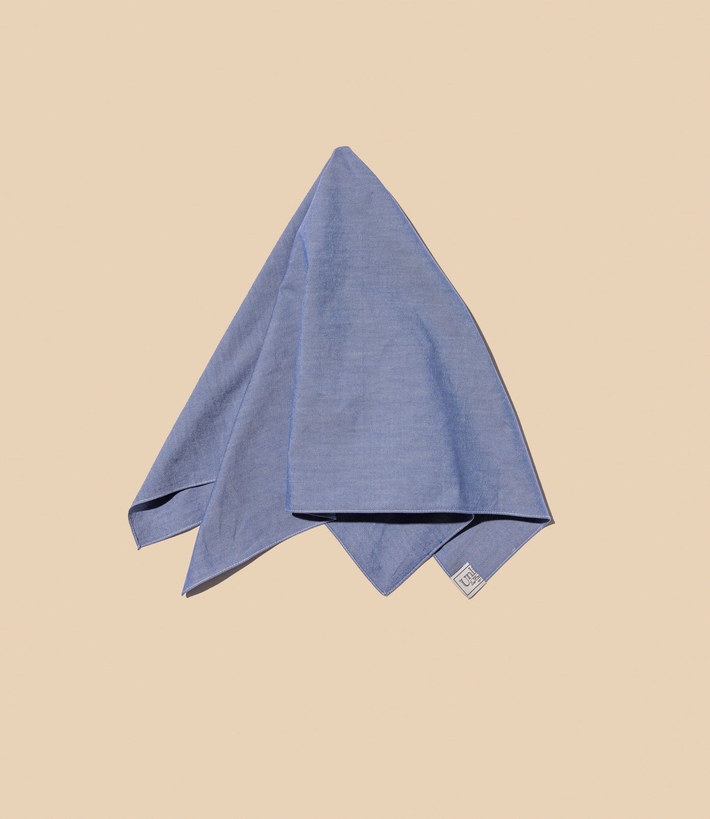 Unlikely Large Neckerchief  BLUE