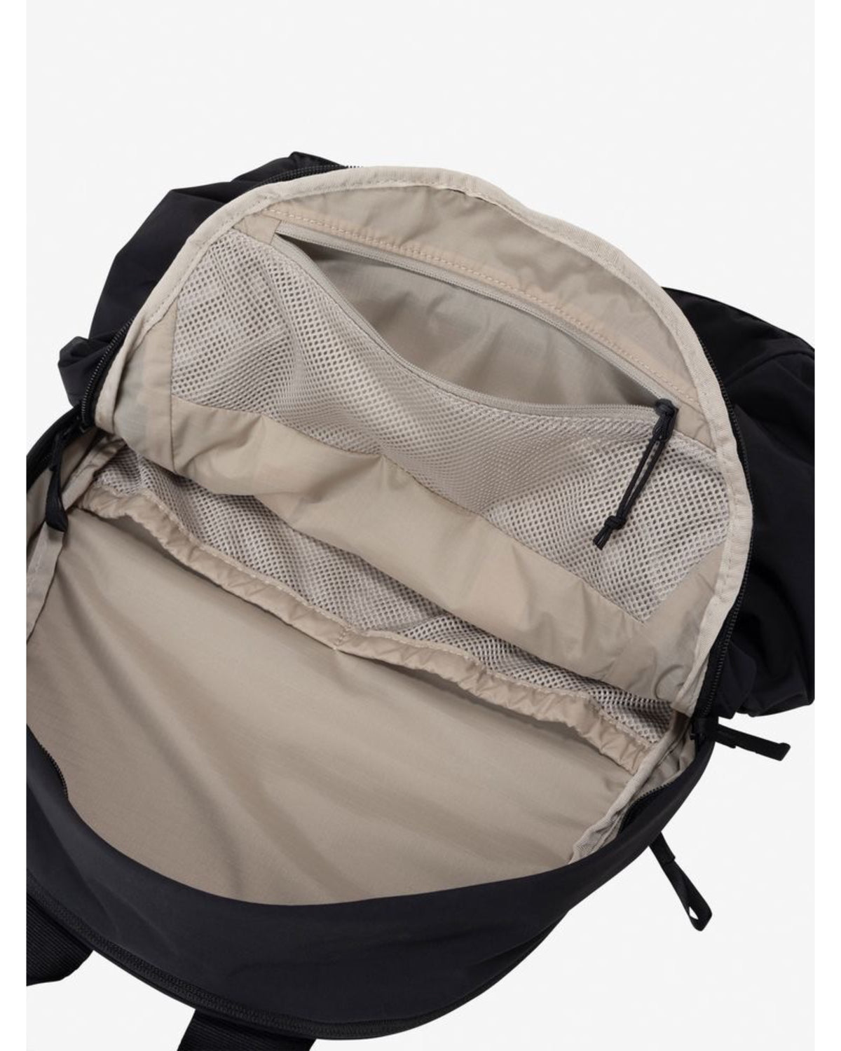 Ficus Pack