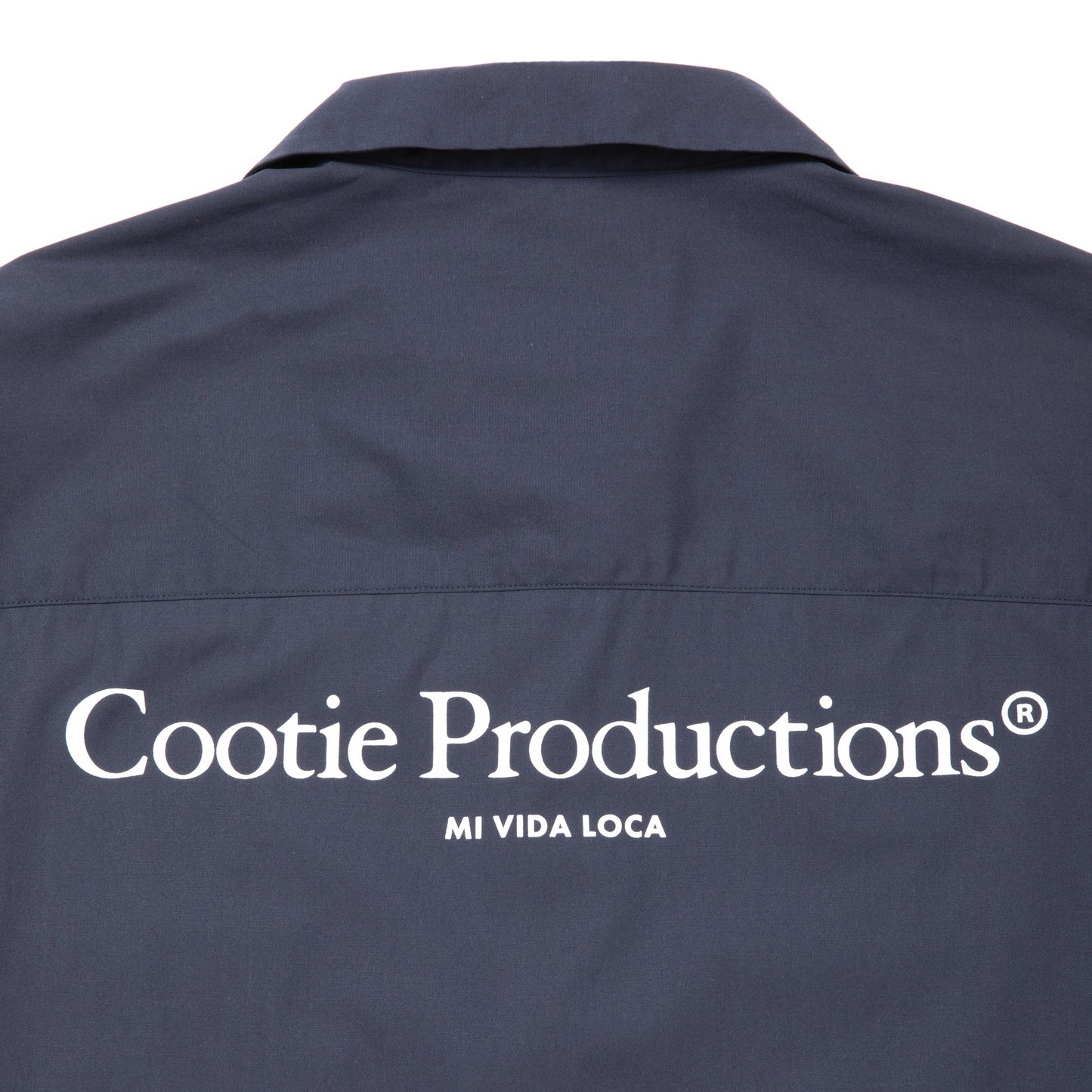 Broad L/S Work Shirt