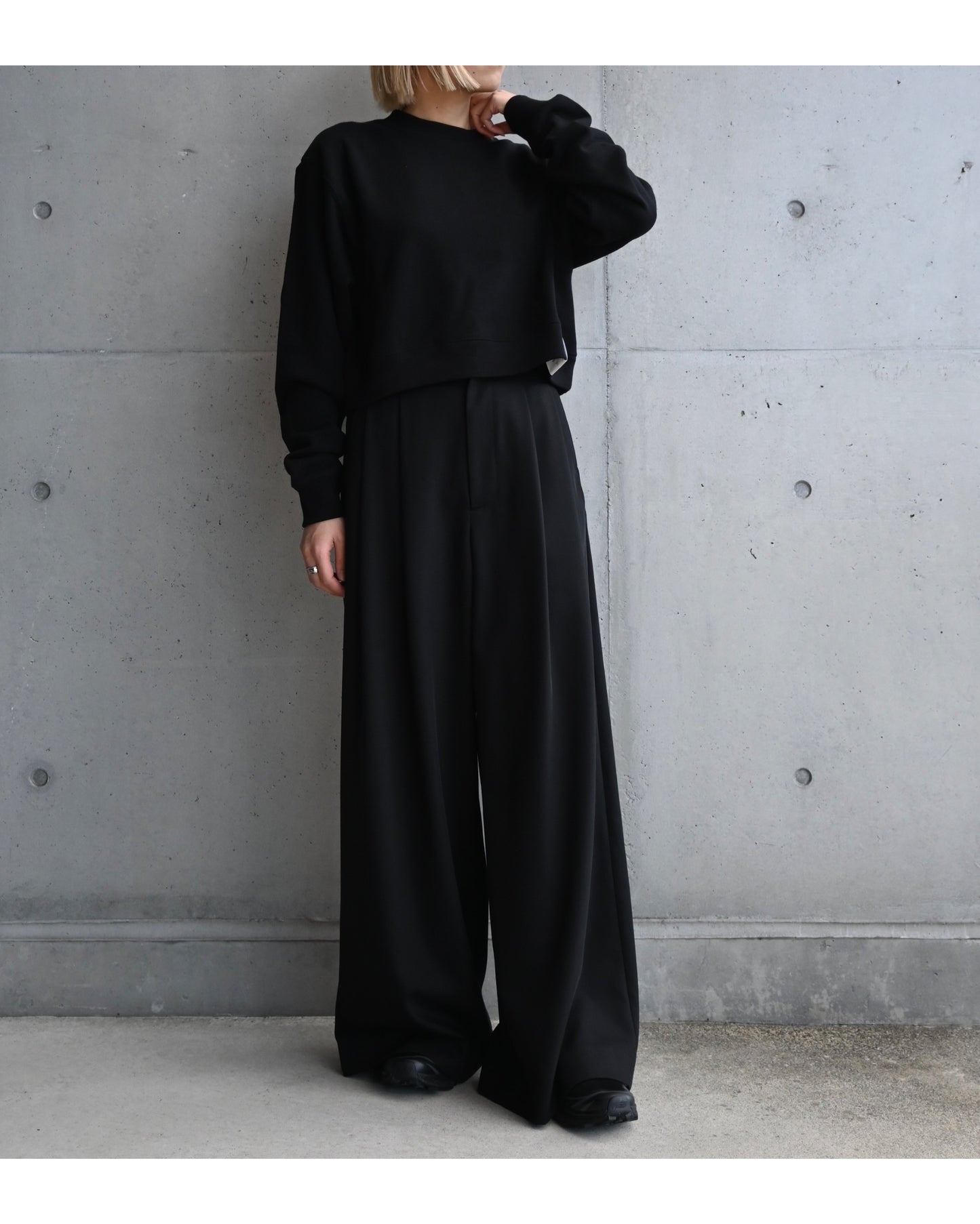 Techno Wool Nylon Two Tuck Wide Pants
