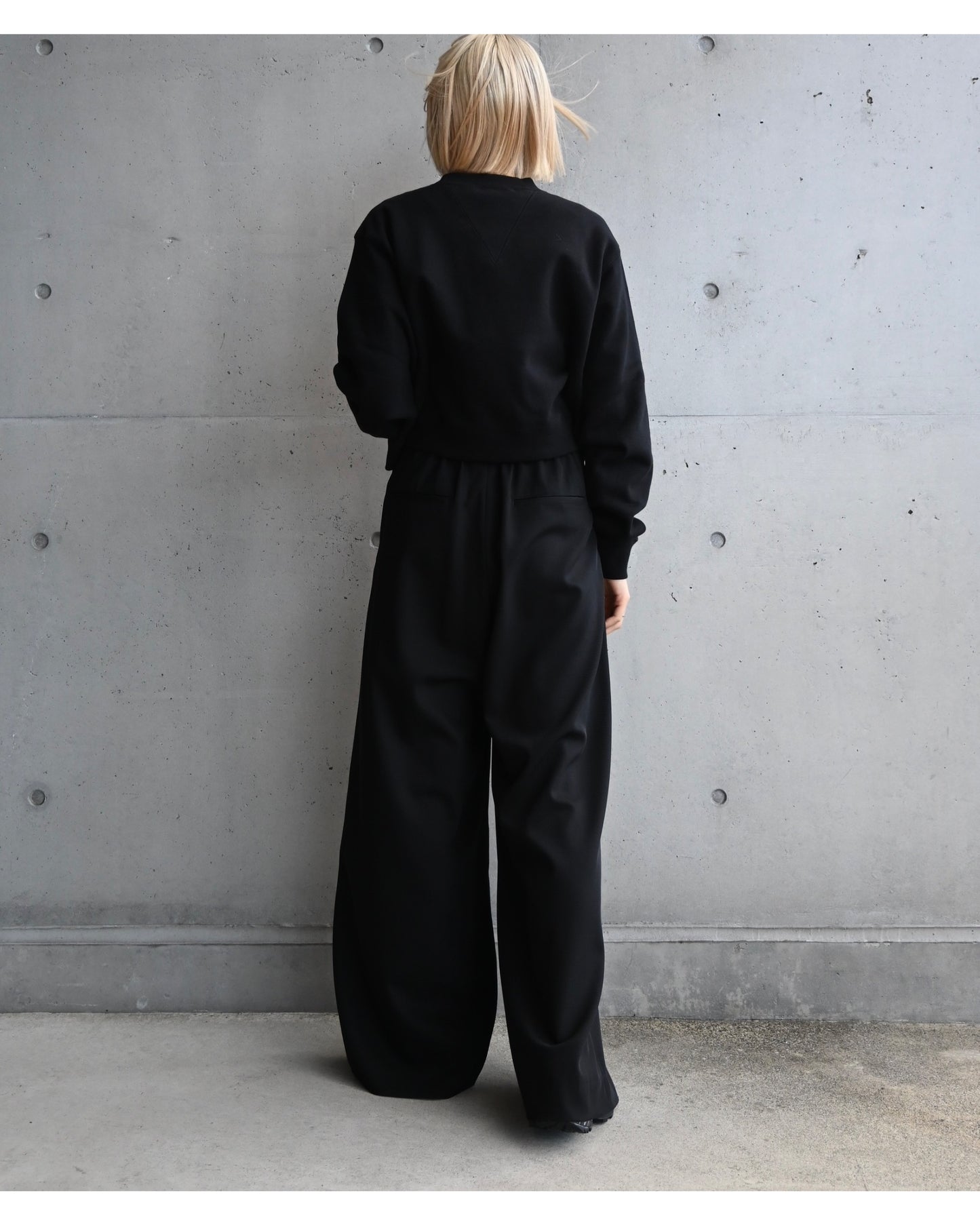Techno Wool Nylon Two Tuck Wide Pants