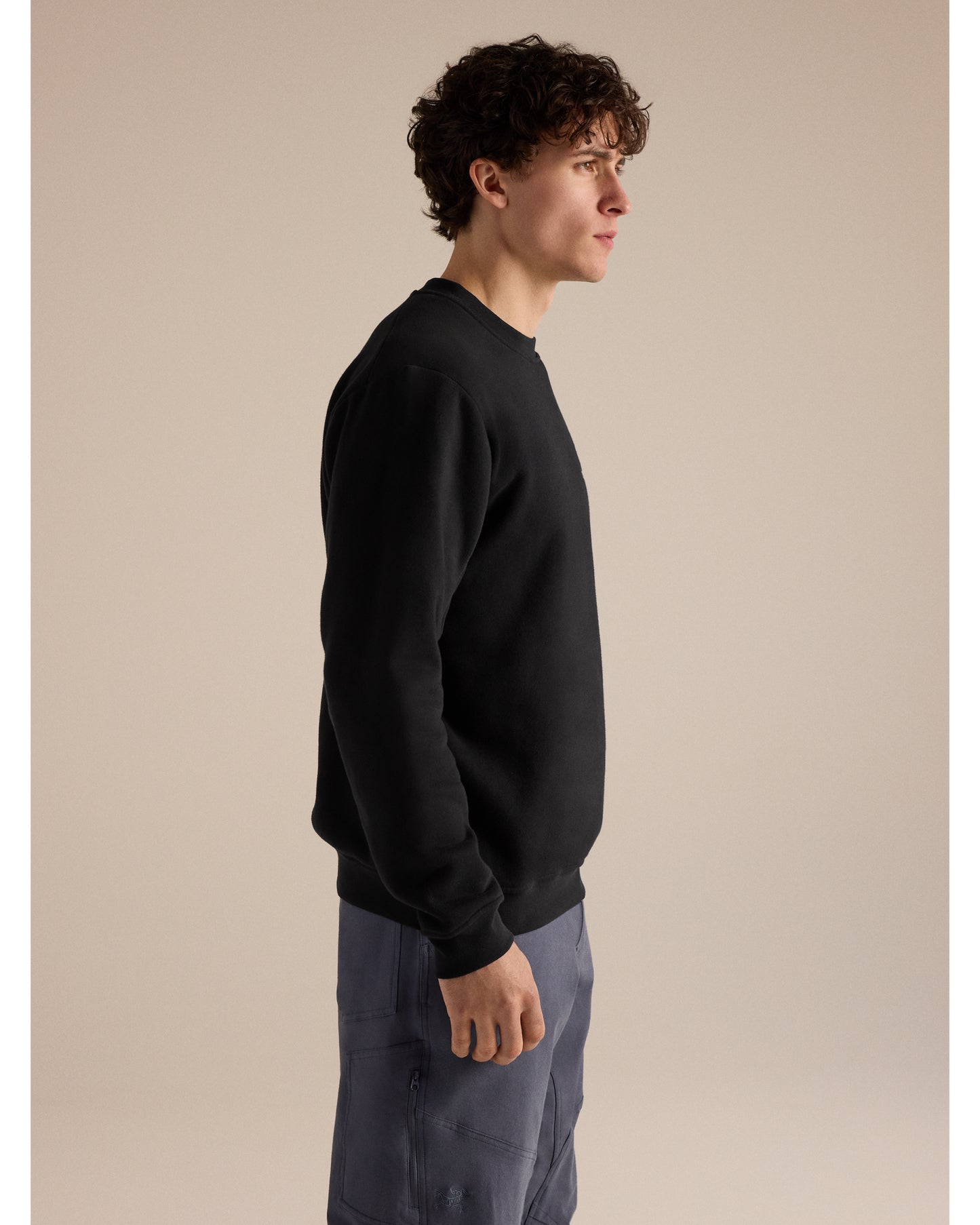 Emblem Fleece Crew M