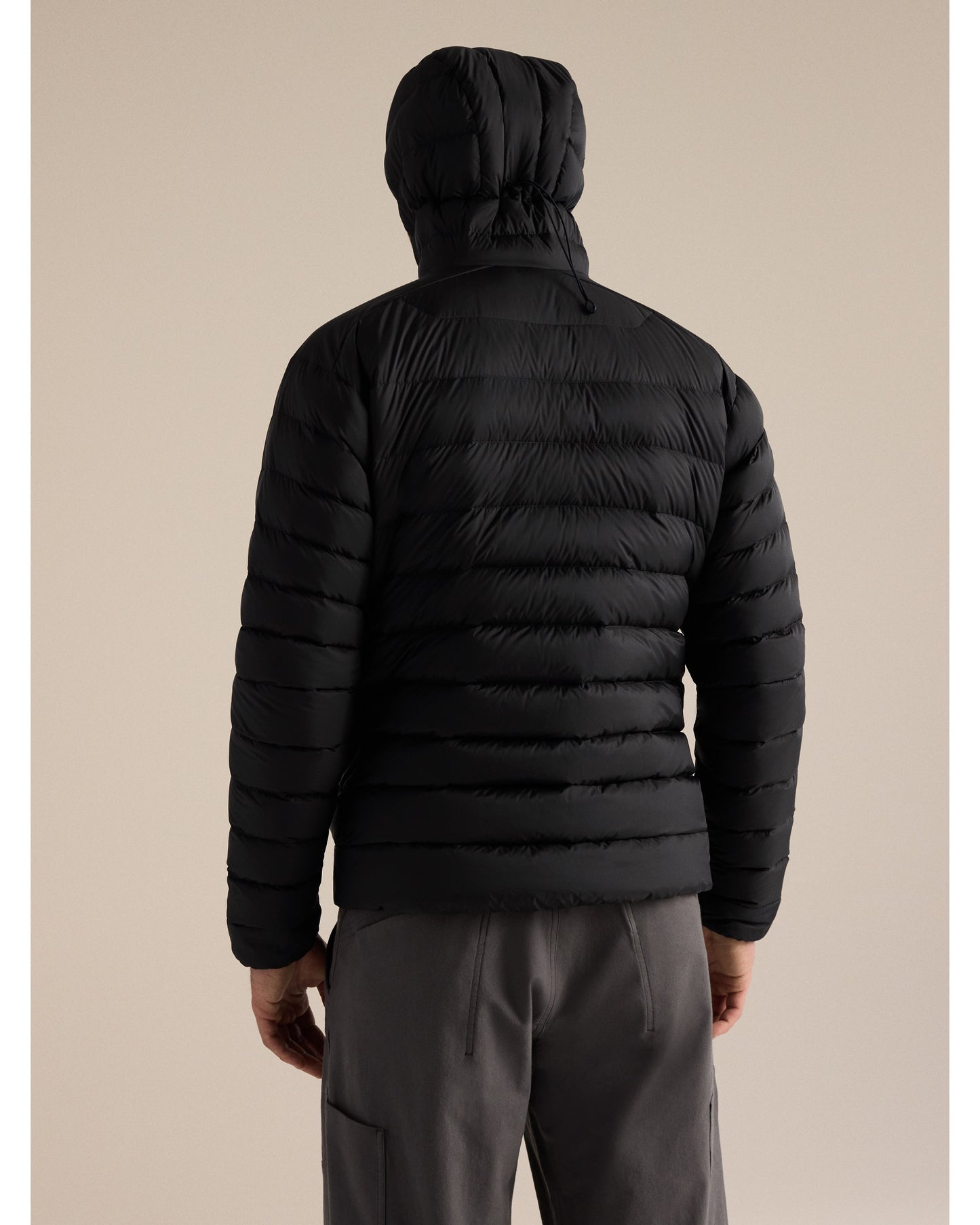 Cerium Hoody M