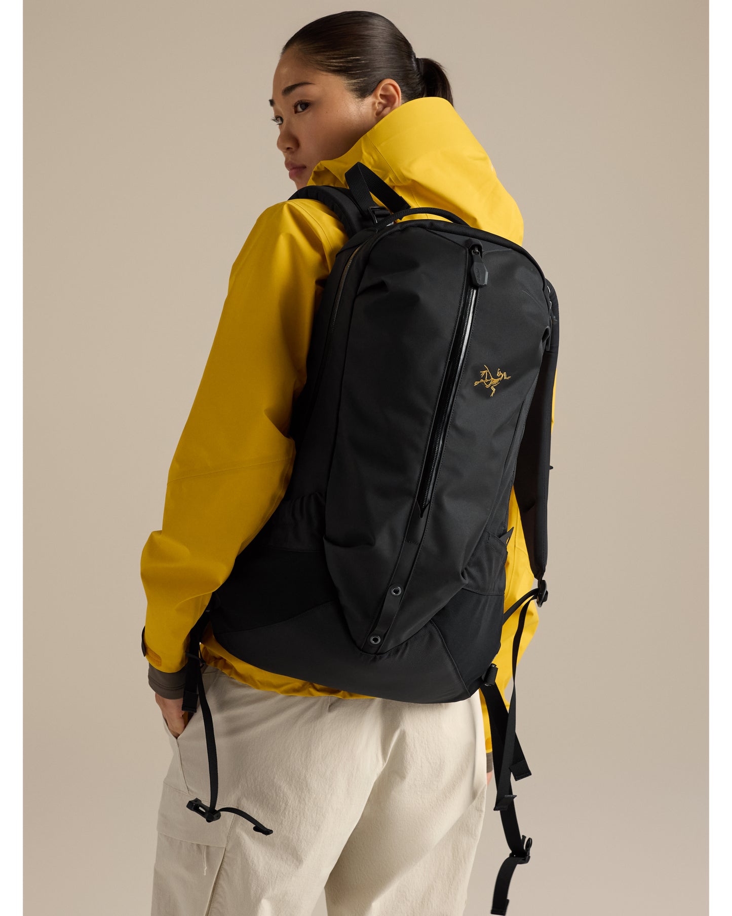 Arro 22 Backpack