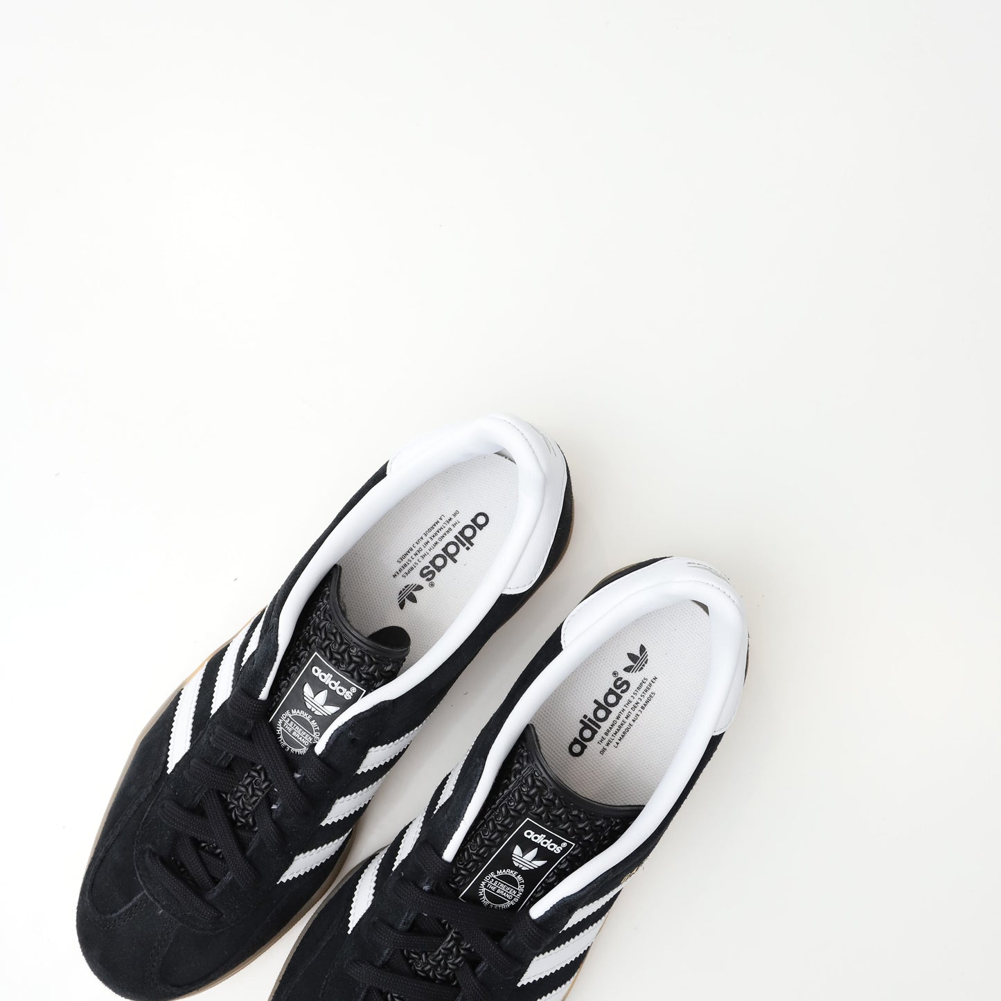 GAZELLE INDOOR