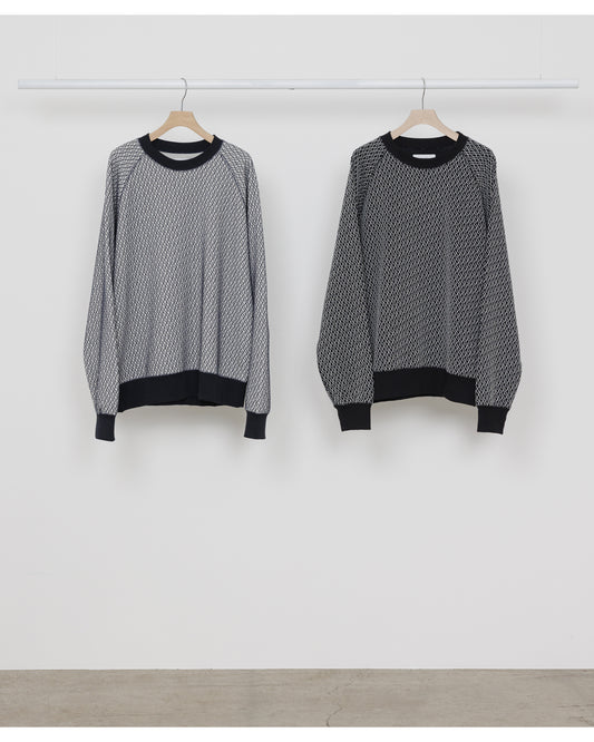 RAGLAN CREW NECK