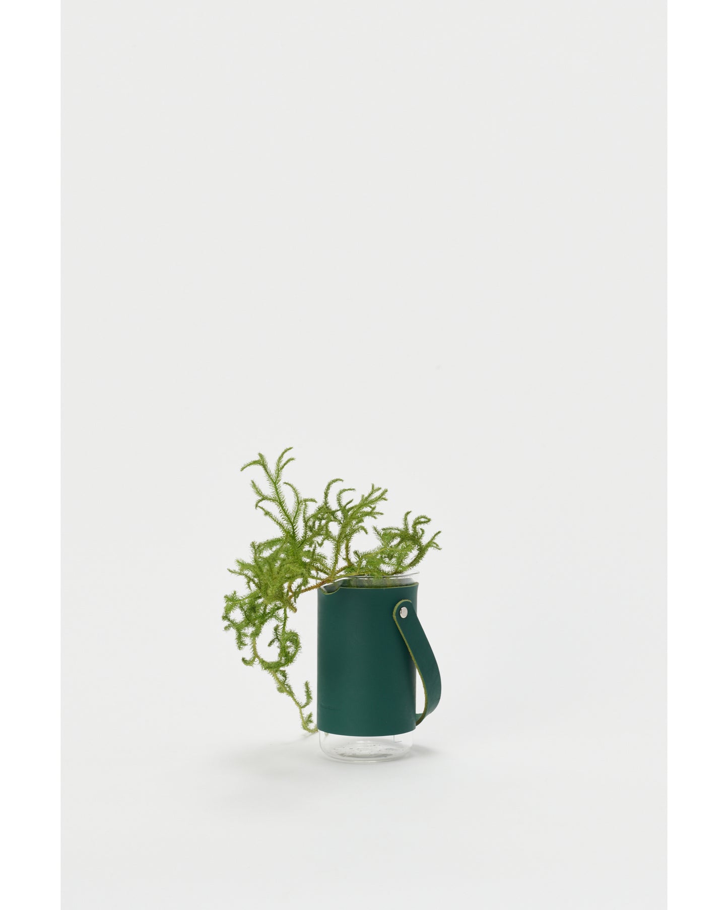 Tall Beaker/500ml GREEN