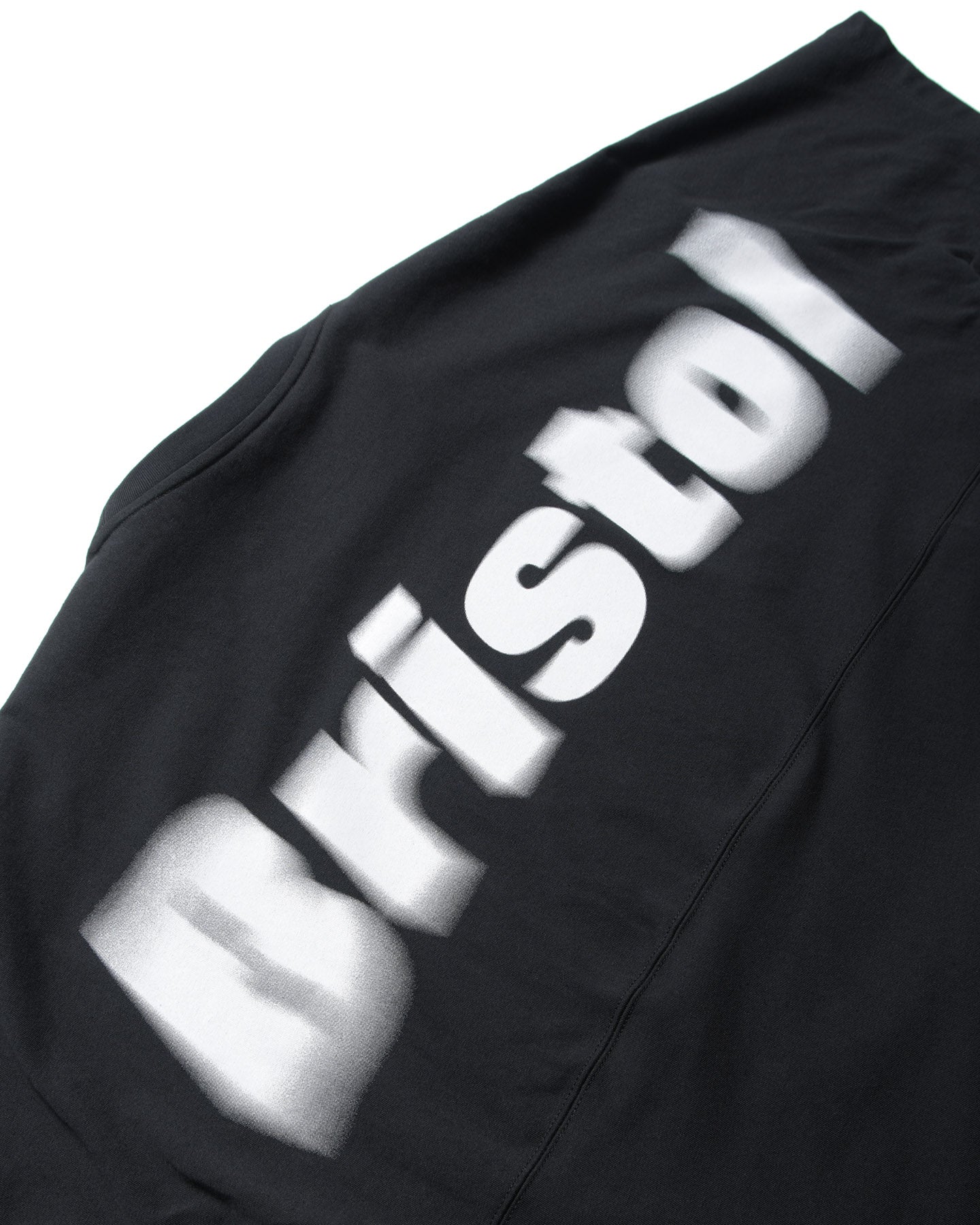 BLURRED BIG LOGO S/S TEAM BAGGY TEE