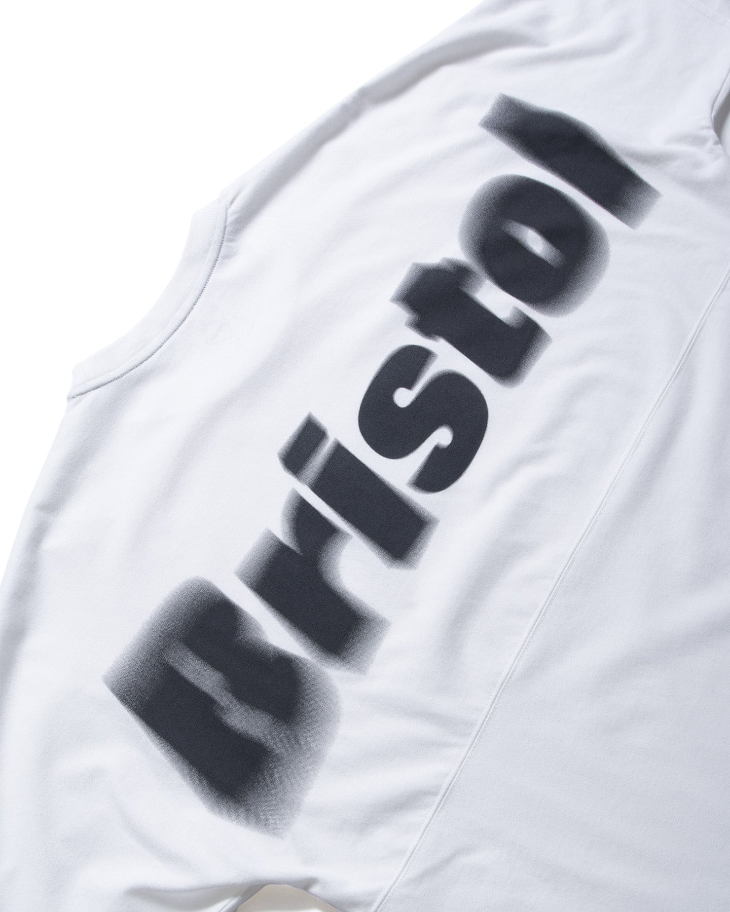 BLURRED BIG LOGO S/S TEAM BAGGY TEE