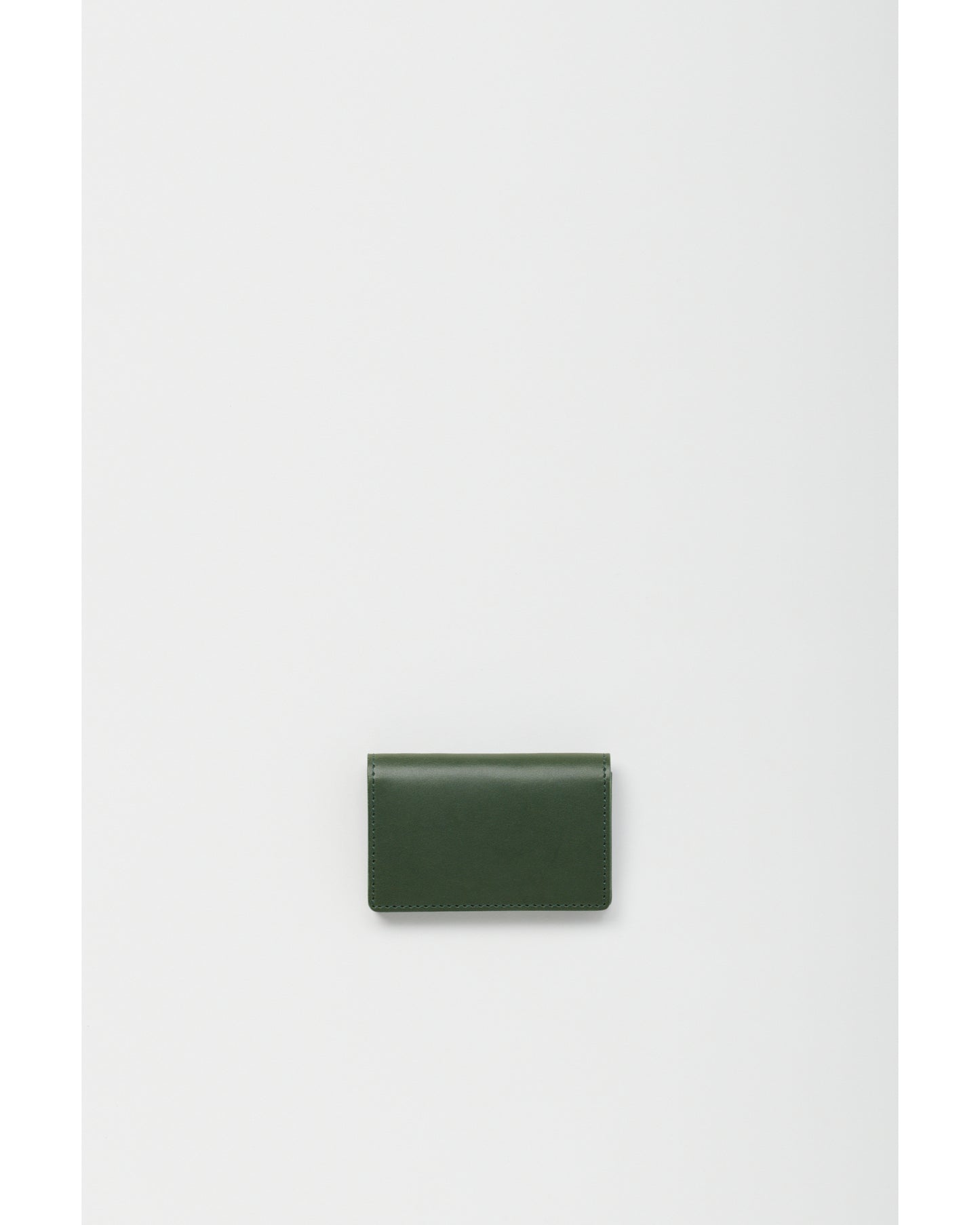 folded card case GREEN