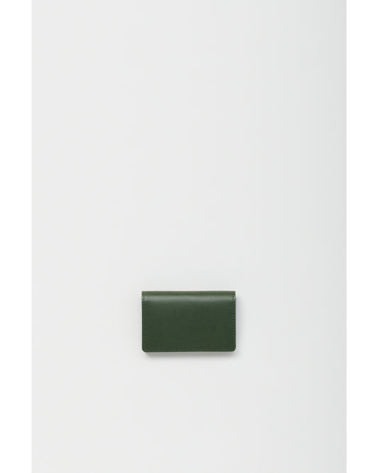 folded card case GREEN