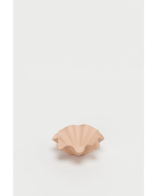 shell bowl small natural