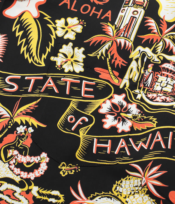 "STATE OF HAWAII" SS38792